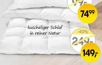 Reiter Daunendecke ,,Sonja Angebot
