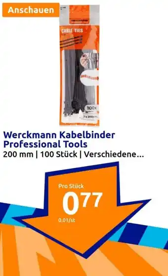 Action Werckmann Kabelbinder Professional Tools Angebot