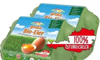 Eurospar Bio-eier Angebot