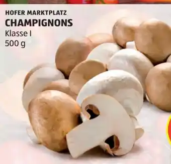 Hofer Champignons Angebot
