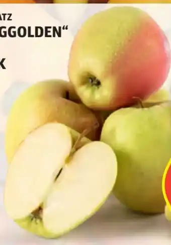 Hofer Äpfel berggolden Angebot