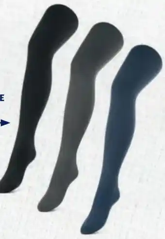 Hofer Damen thermo strumpfhose Angebot