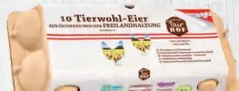Hofer Eier Angebot