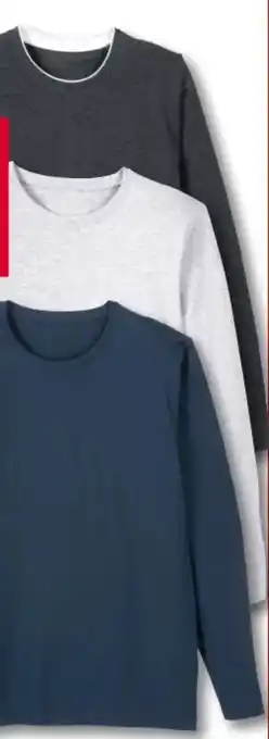 Woolworth Herren basic langarmshirt Angebot