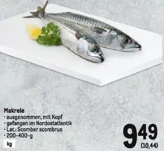 Metro Makrele Angebot