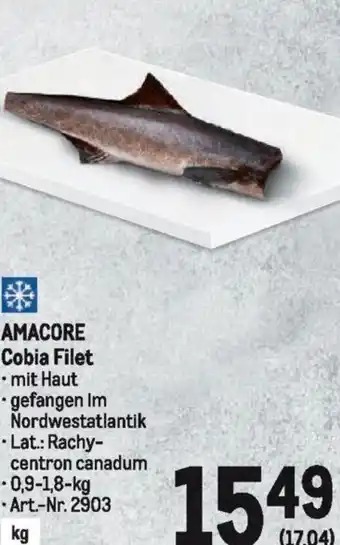 Metro AMACORE Cobia Filet Angebot