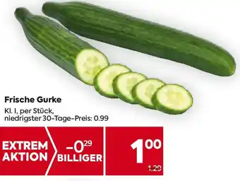 Billa Frische Gurke Angebot
