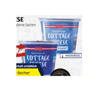 Hofer Milfina cottage cheese versch. sorten hofer 250 gramm 1 becher Angebot
