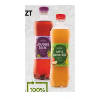 Hofer Rio d'oro saft gespritzt div. sorten hofer 500 milliliter 1 flasche Angebot