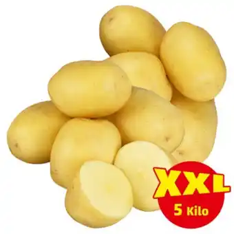 PENNY Erdäpfel penny 5 kilogramm 1 sack Angebot