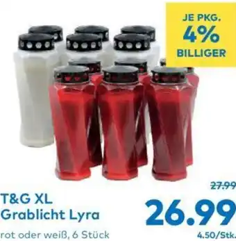 T&G T&G XL Grablicht Lyra Angebot