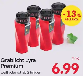 MPreis Grablicht Lyra Premium Angebot