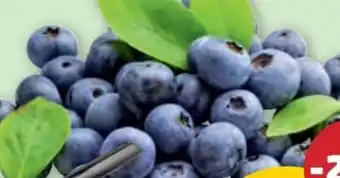 PENNY Heidelbeeren Angebot