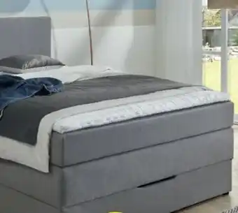 Möbel Ludwig Boxspringbett Angebot