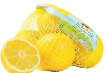Maximarkt Bio-zitronen Angebot