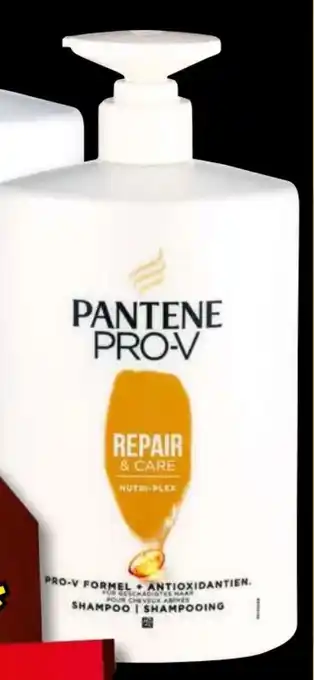 Norma Shampoo Angebot