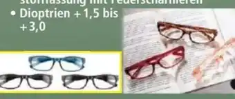 Norma Fertig lesebrille Angebot