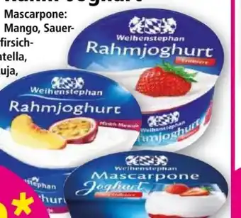 Norma Mascarpone joghurt Angebot