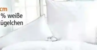 Norma Kopfkissen Angebot