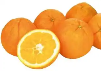 Transgourmet Orangen Angebot