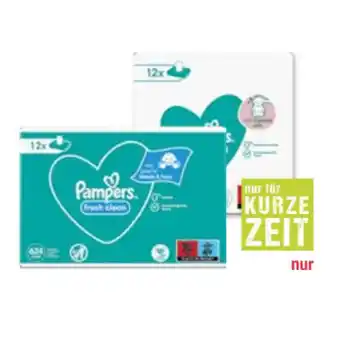 Maximarkt Pampers feuchttücher versch. sorten maximarkt 1 packung Angebot