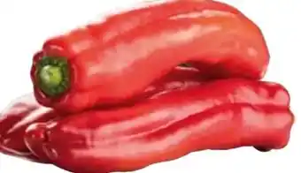 Transgourmet Paprika Angebot