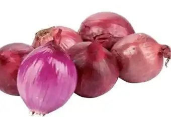 Transgourmet Zwiebel Angebot