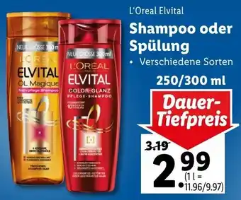 Lidl Shampoo Oder Spülung 250/300ml Angebot
