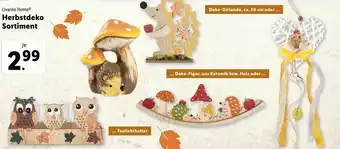 Lidl Herbstdeko Sortiment Angebot