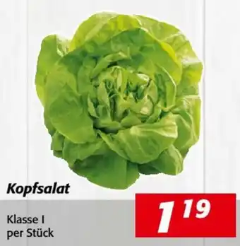Nah&Frisch Kopfsalat Angebot
