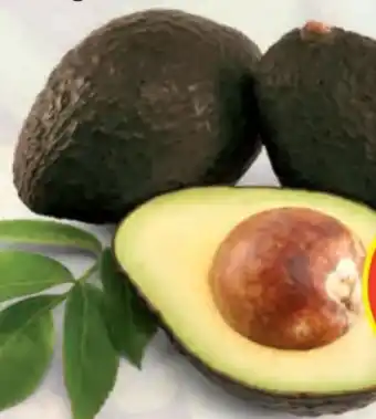 Hofer Iss Reif! Avocados Angebot