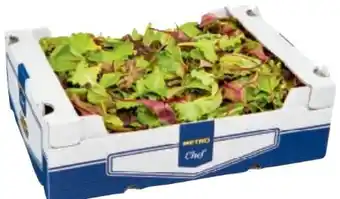 Metro Wildkräutersalat Angebot