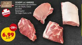PENNY SCHOPF od. KARREE Angebot