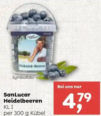 ADEG SanLucar Heidelbeeren Angebot