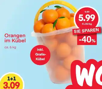 MPreis Orangen im Kübel Angebot