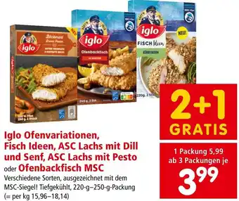 Interspar Iglo Ofenvariationen Angebot