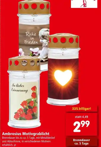 Interspar Ambrosius Motivgrablicht Angebot