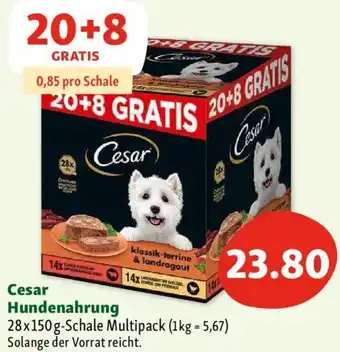 Fressnapf Cesar Hundenahrung Angebot