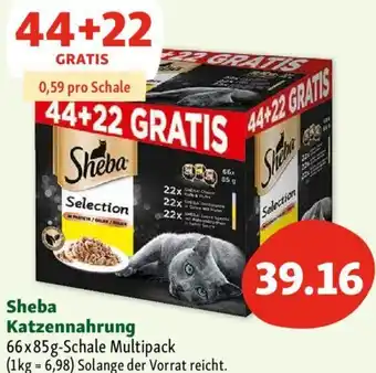 Fressnapf Sheba Katzennahrung Angebot