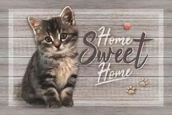 Möbelix Fußmatte Luna Angebot