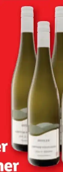 Lidl Grüner Veltliner Löss & Schotter Angebot