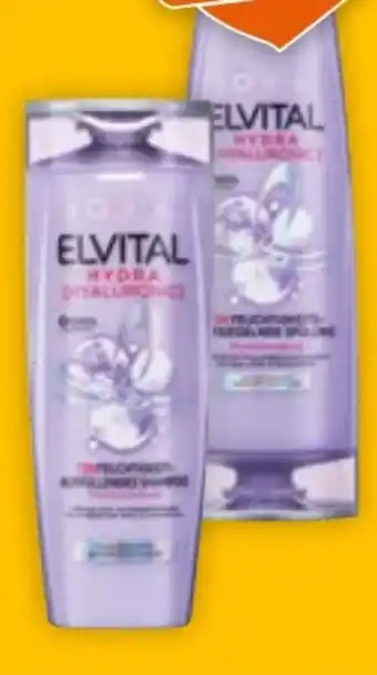 Müller Elvital Shampoo Angebot