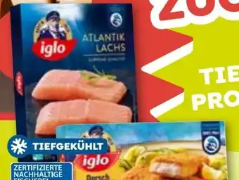 ADEG Dorsch Angebot