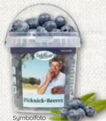 ADEG Heidelbeeren Angebot