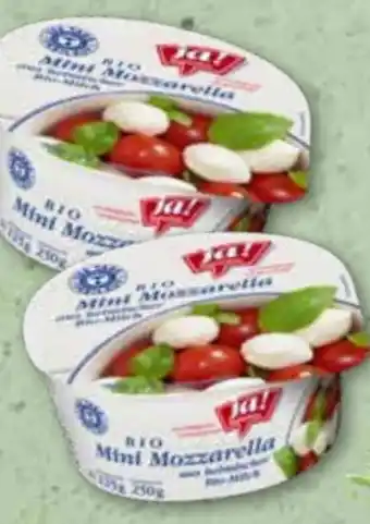 ADEG Bio Mozzarella Minis Angebot
