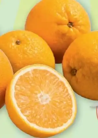 PENNY Orangen Angebot