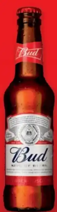 PENNY Bier Angebot