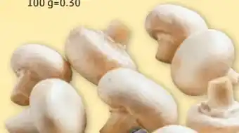 PENNY Champignons Angebot