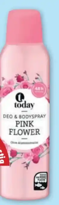 PENNY Deospray Angebot