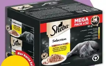 PENNY Selection Angebot